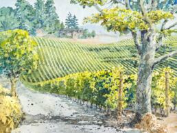 Watercolor painting of rolling hills with green vineyards.